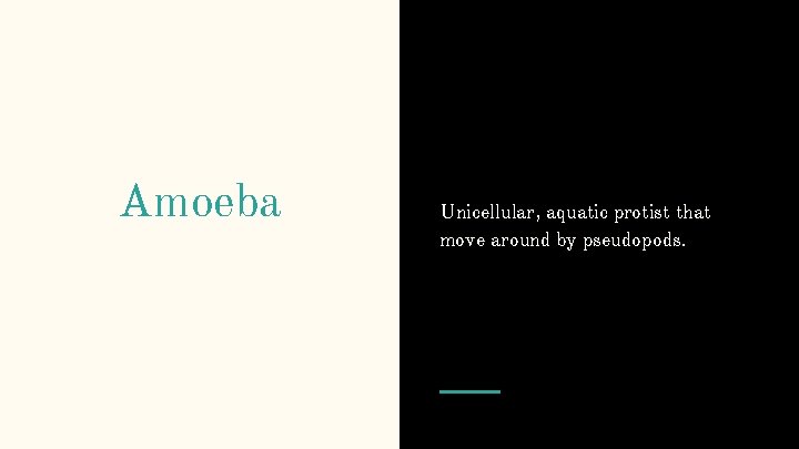 Amoeba Unicellular, aquatic protist that move around by pseudopods. 