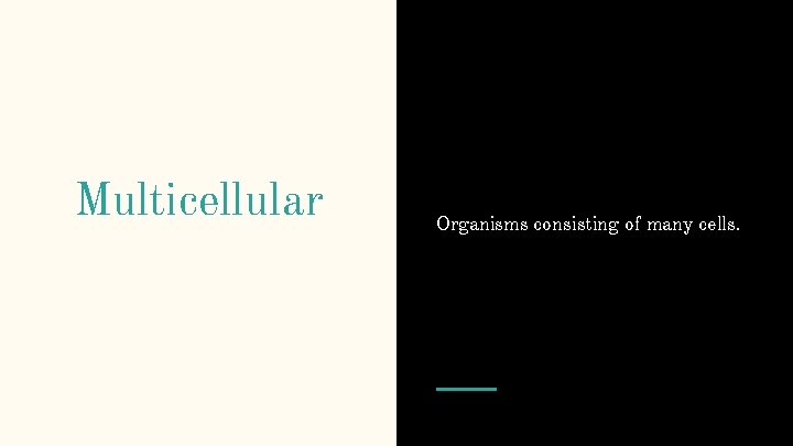 Multicellular Organisms consisting of many cells. 