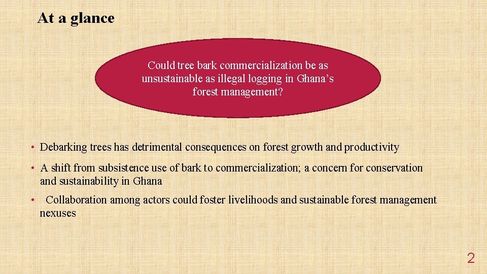 At a glance Could tree bark commercialization be as unsustainable as illegal logging in