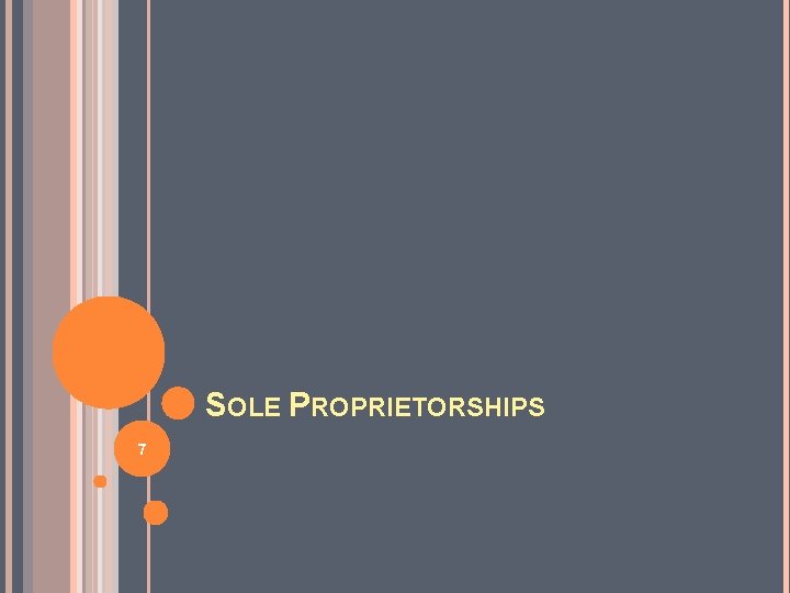 SOLE PROPRIETORSHIPS 7 