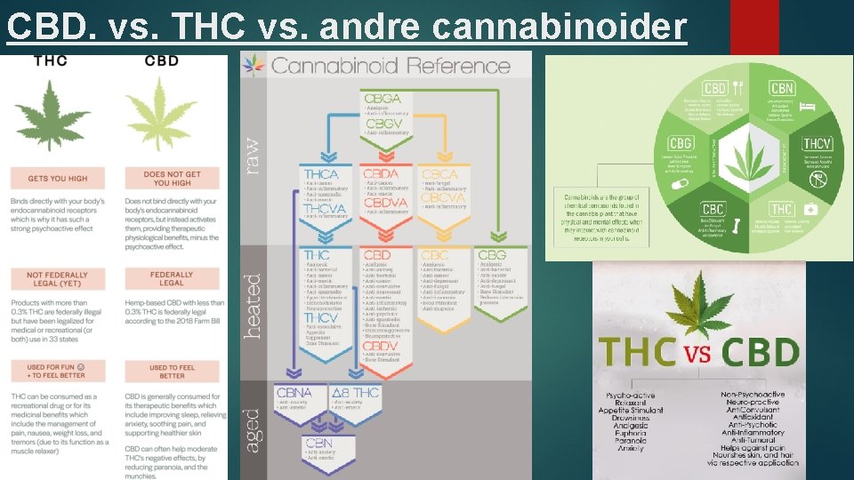 CBD. vs. THC vs. andre cannabinoider 
