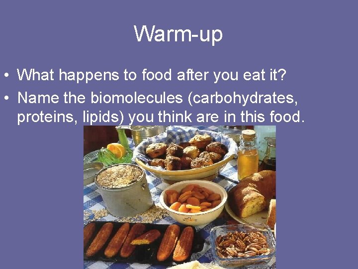 Warm-up • What happens to food after you eat it? • Name the biomolecules