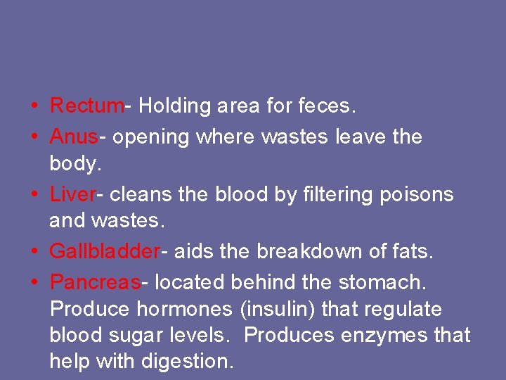  • Rectum- Holding area for feces. • Anus- opening where wastes leave the