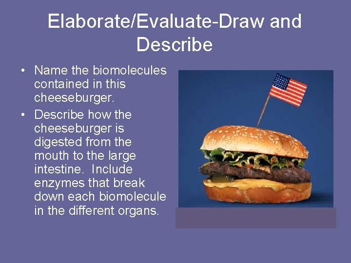 Elaborate/Evaluate-Draw and Describe • Name the biomolecules contained in this cheeseburger. • Describe how