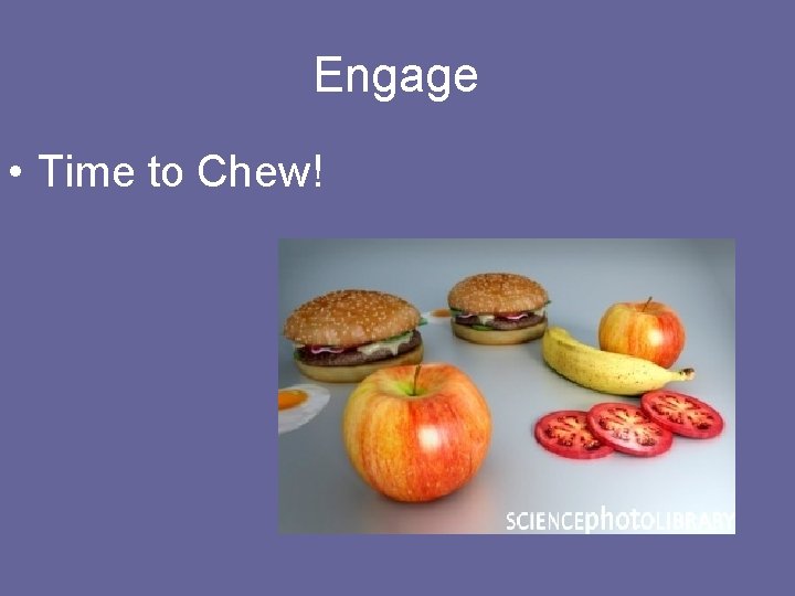 Engage • Time to Chew! 