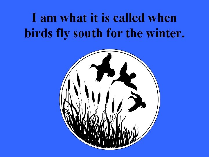 I am what it is called when birds fly south for the winter. 
