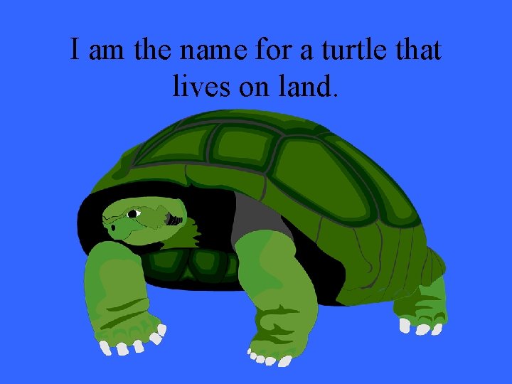 I am the name for a turtle that lives on land. 