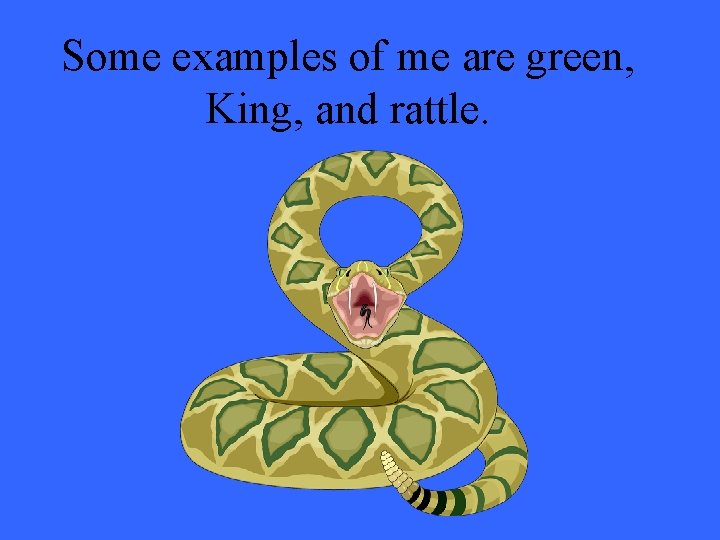 Some examples of me are green, King, and rattle. 