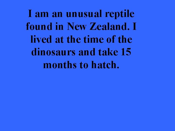 I am an unusual reptile found in New Zealand. I lived at the time