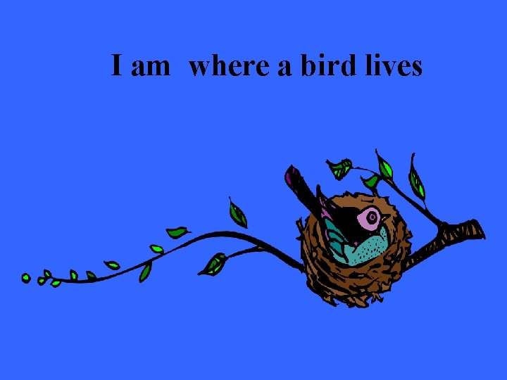 I am where a bird lives 
