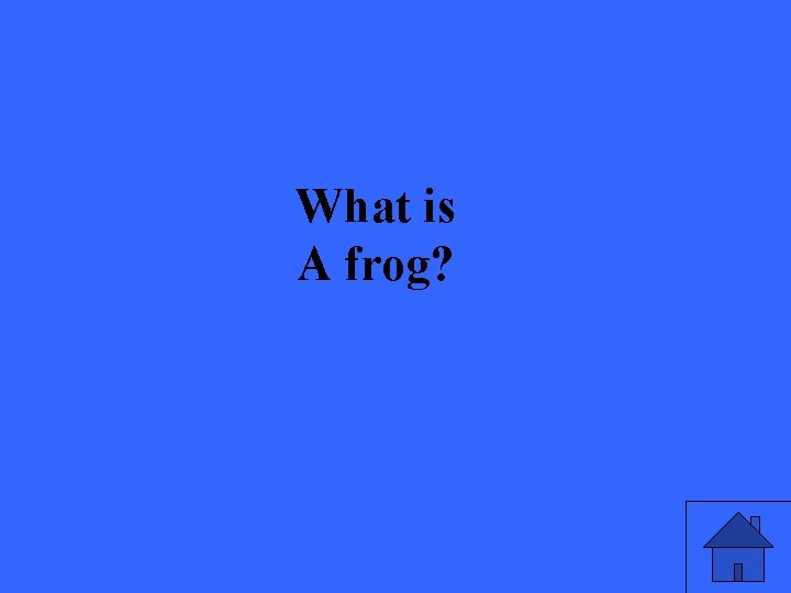 What is A frog? 
