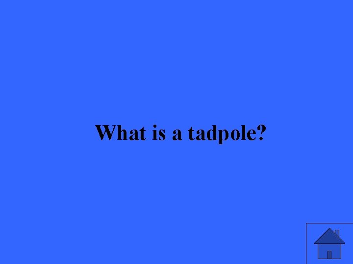 What is a tadpole? 
