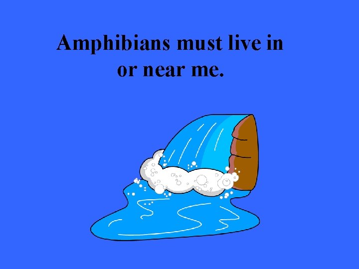 Amphibians must live in or near me. 