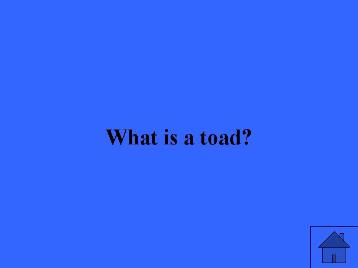 What is a toad? 