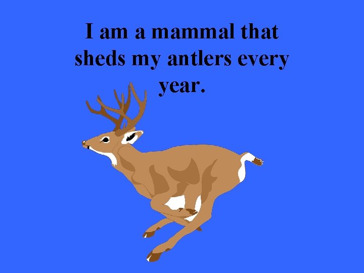 I am a mammal that sheds my antlers every year. 