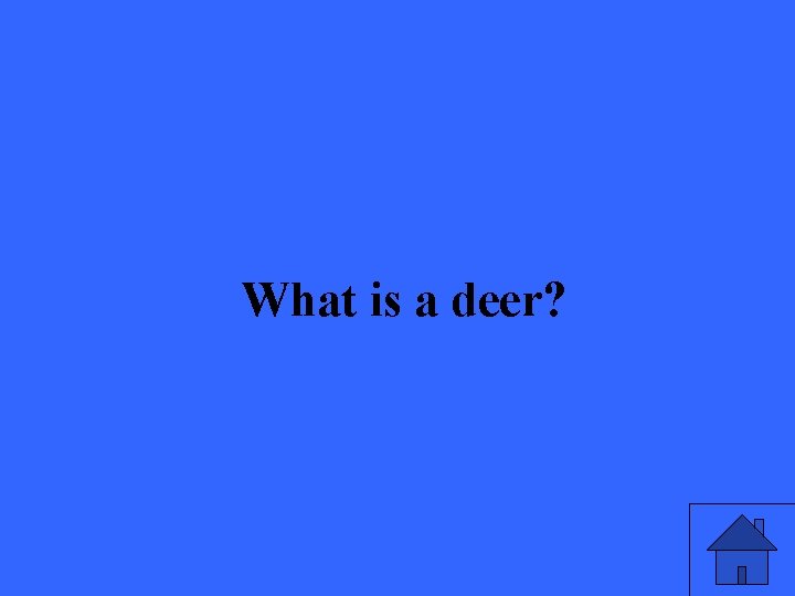 What is a deer? 