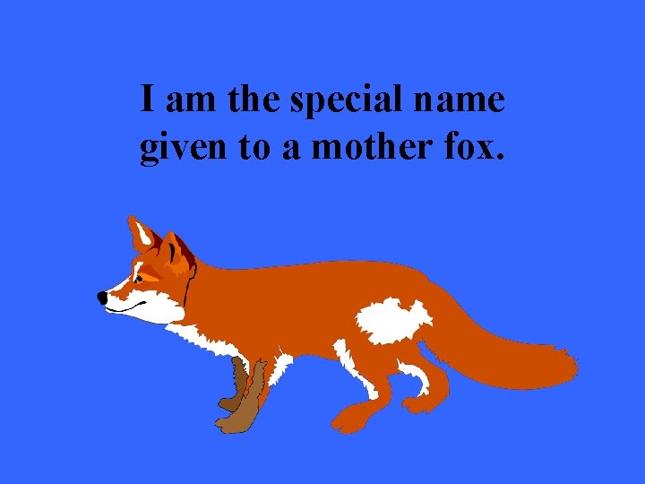 I am the special name given to a mother fox. 