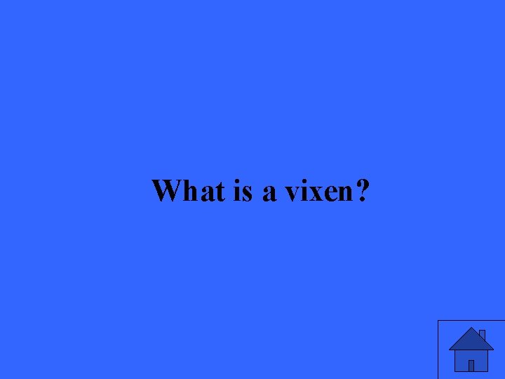 What is a vixen? 