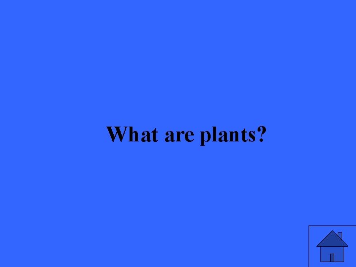 What are plants? 