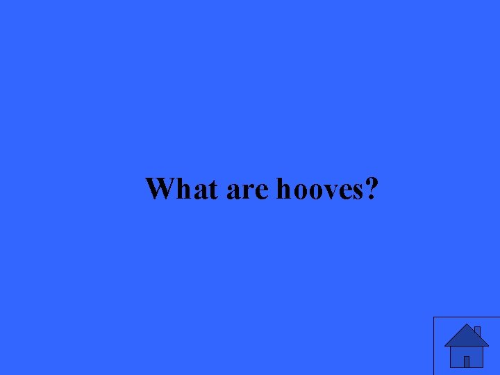 What are hooves? 