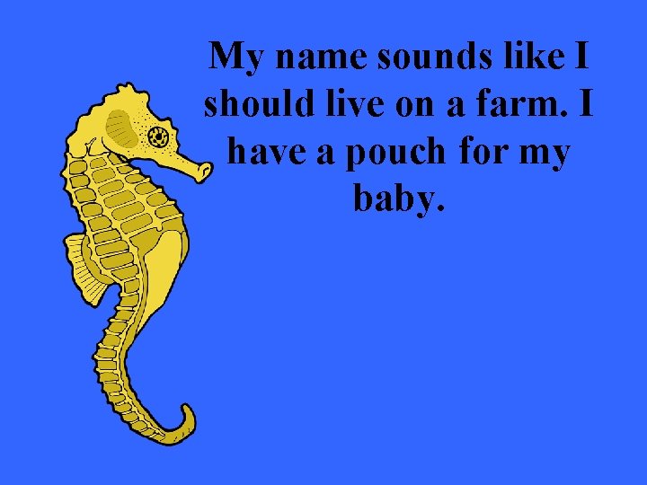 My name sounds like I should live on a farm. I have a pouch