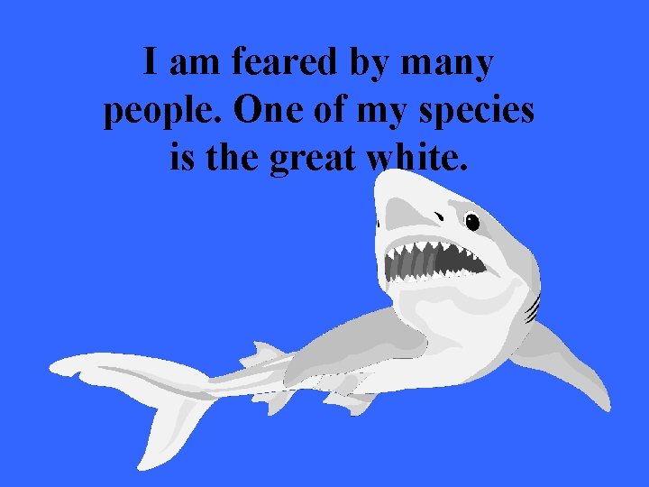 I am feared by many people. One of my species is the great white.
