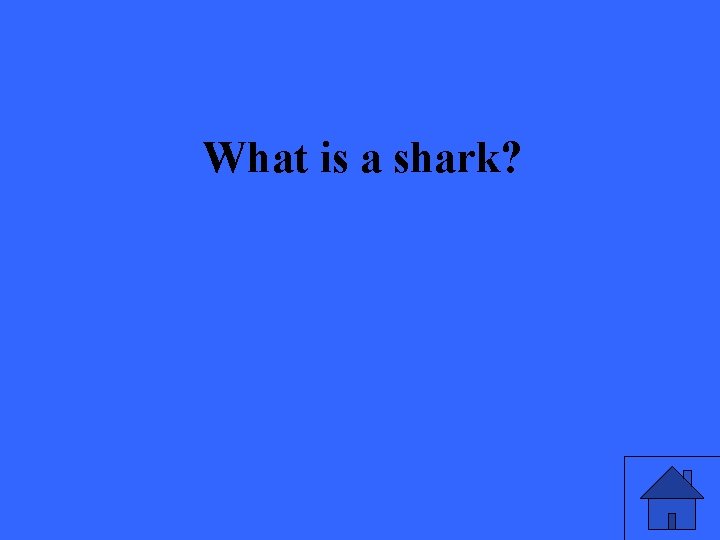 What is a shark? 