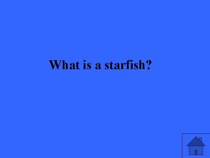 What is a starfish? 