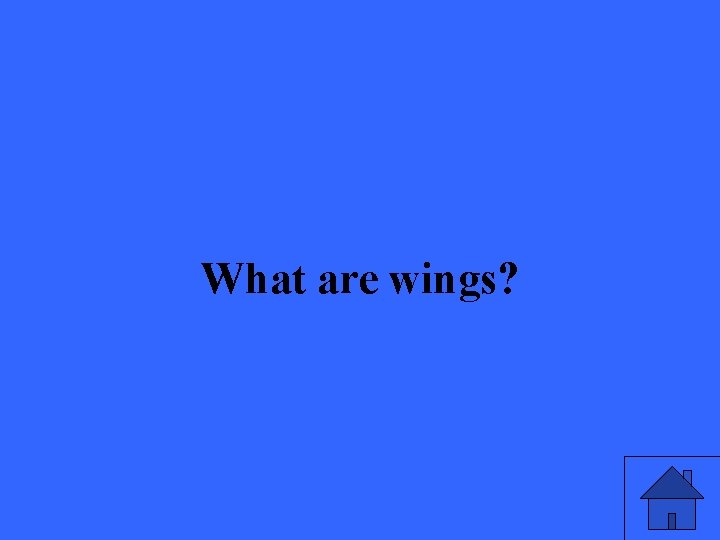 What are wings? 