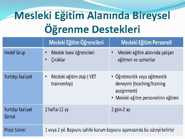 Mesleki Eğitim Alanında Bireysel Öğrenme Destekleri 