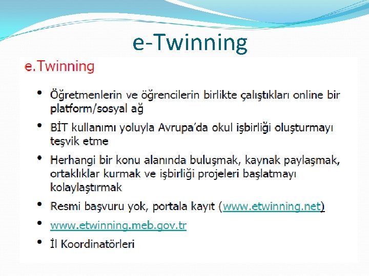 e-Twinning 