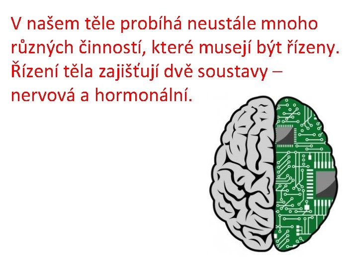 V našem těle probíhá neustále mnoho různých činností, které musejí být řízeny. Řízení těla