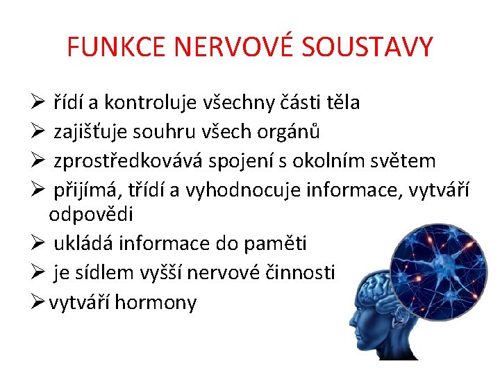 FUNKCE NERVOVÉ SOUSTAVY Ø řídí a kontroluje všechny části těla Ø zajišťuje souhru všech