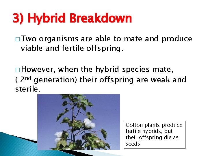 3) Hybrid Breakdown � Two organisms are able to mate and produce viable and