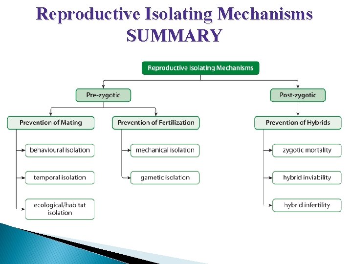 Section 9. 2 Reproductive Isolating Mechanisms SUMMARY 