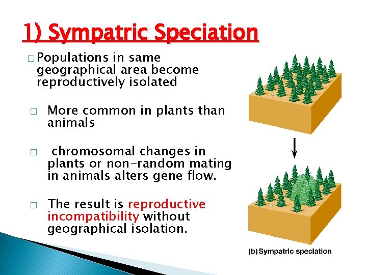 1) Sympatric Speciation � Populations in same geographical area become reproductively isolated � �