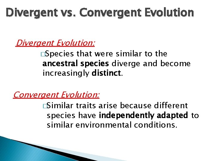 Divergent vs. Convergent Evolution Divergent Evolution: �Species that were similar to the ancestral species