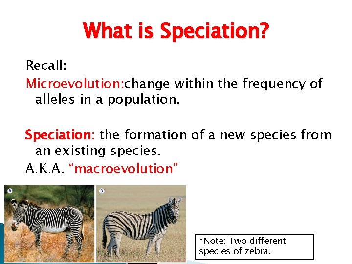 What is Speciation? Recall: Microevolution: change within the frequency of alleles in a population.