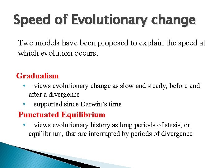 Speed of Evolutionary change Two models have been proposed to explain the speed at