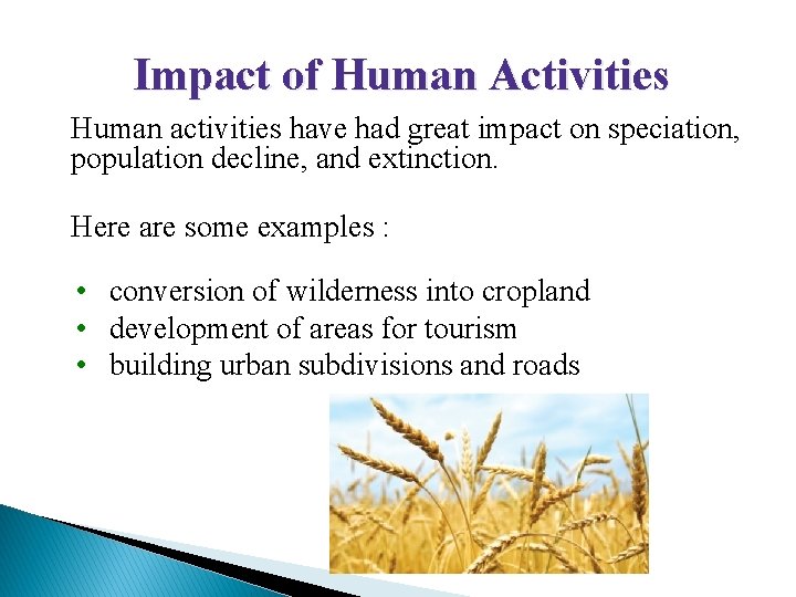 UNIT 3 Chapter 9: Evolution and Speciation Section 9. 2 Impact of Human Activities