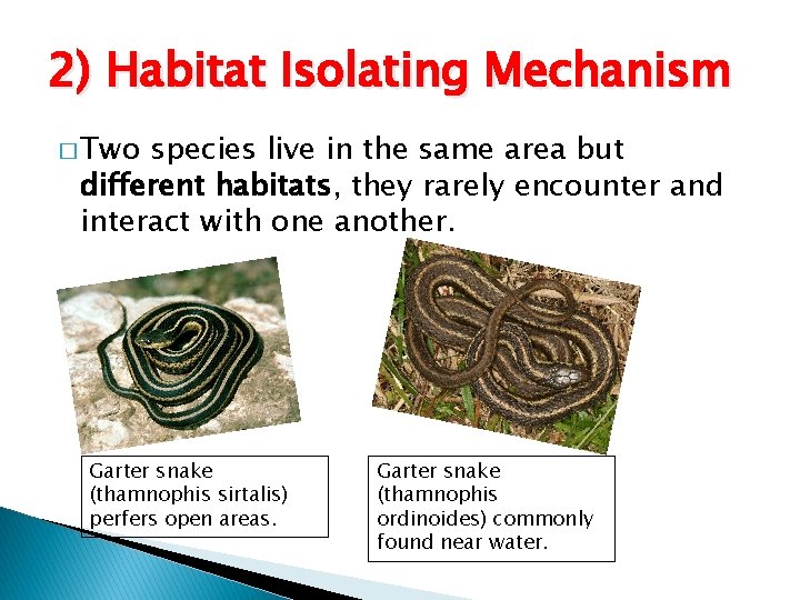2) Habitat Isolating Mechanism � Two species live in the same area but different