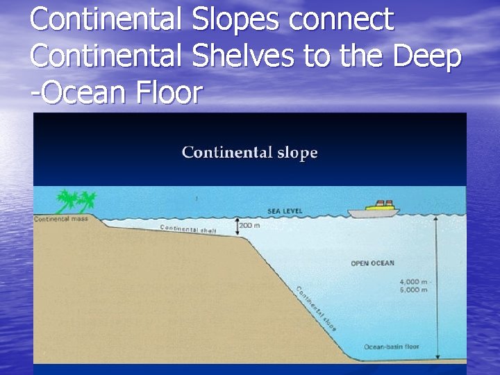 Continental Slopes connect Continental Shelves to the Deep -Ocean Floor 