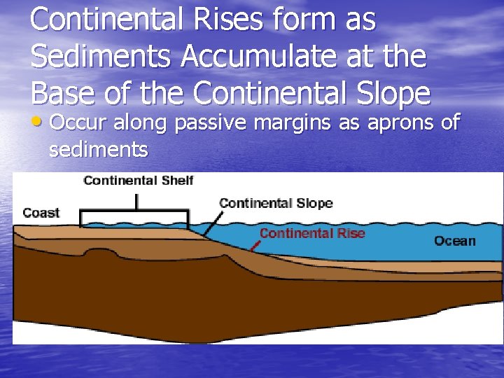 Continental Rises form as Sediments Accumulate at the Base of the Continental Slope •