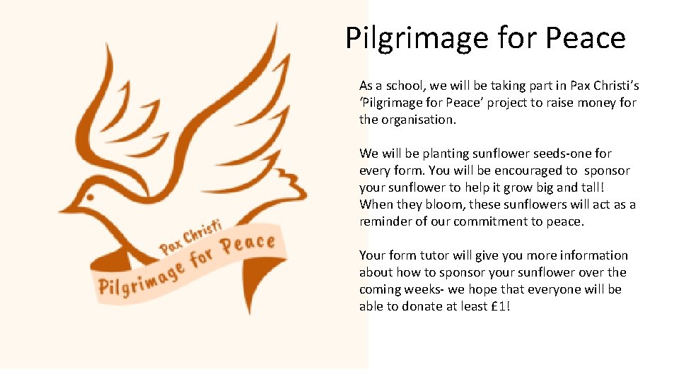 Pilgrimage for Peace As a school, we will be taking part in Pax Christi’s