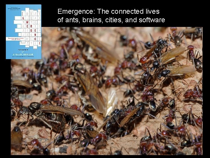 Emergence: The connected lives of ants, brains, cities, and software 