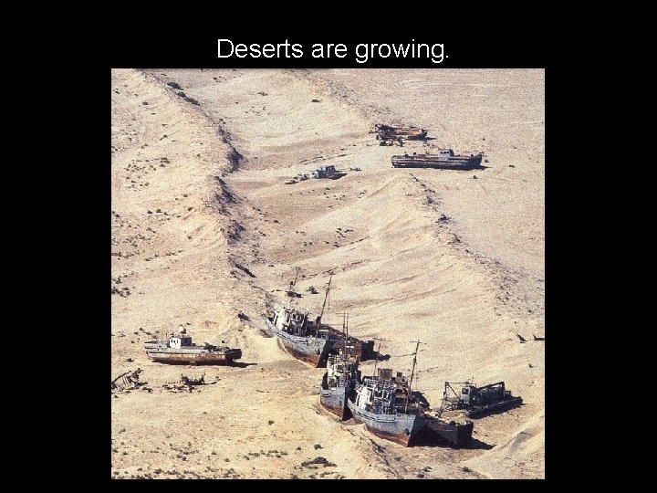 Deserts are growing. 