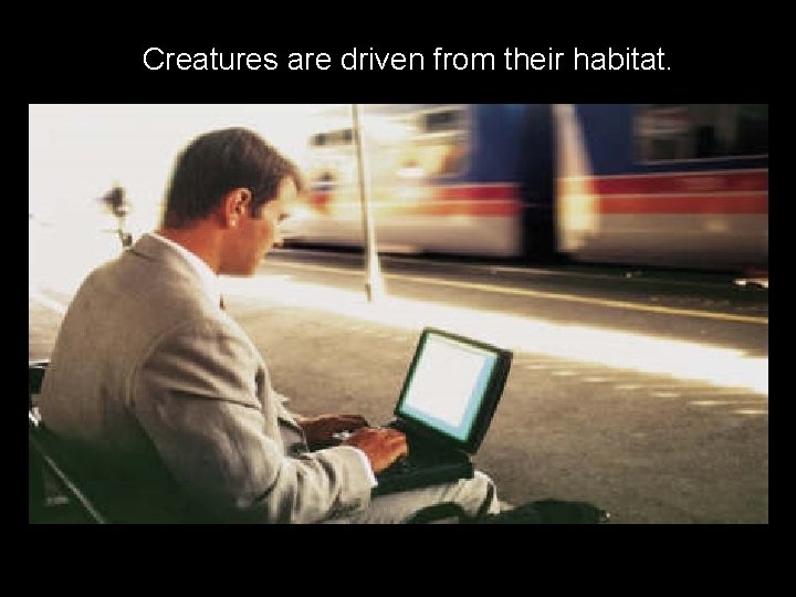 Creatures are driven from their habitat. 