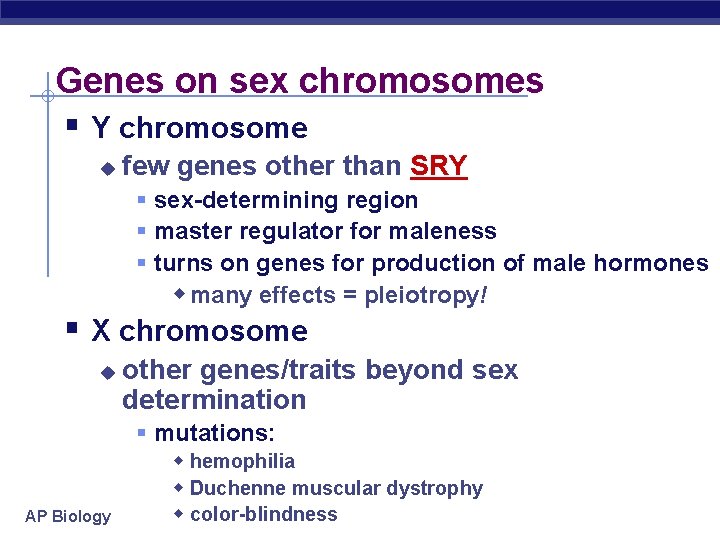 Genes on sex chromosomes § Y chromosome u few genes other than SRY §