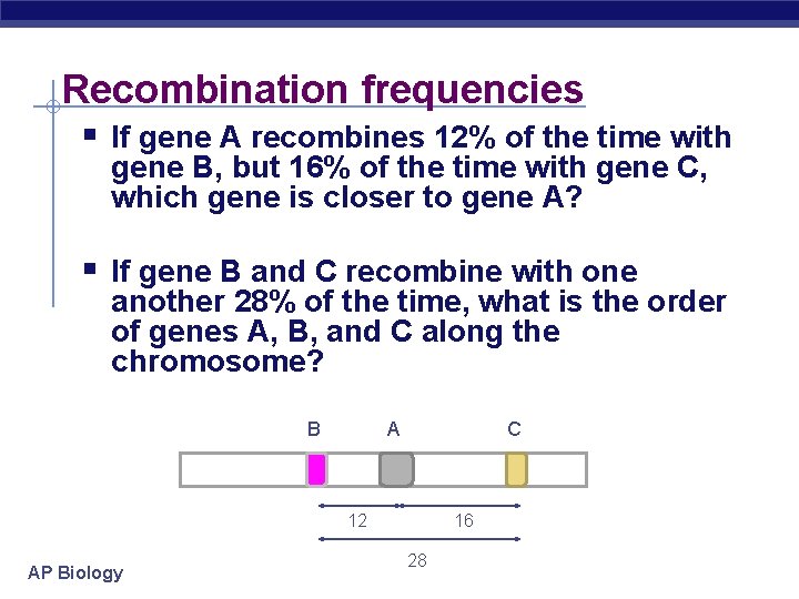 Recombination frequencies § If gene A recombines 12% of the time with gene B,