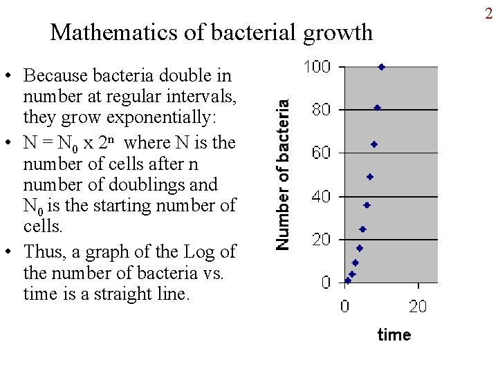 Mathematics of bacterial growth • Because bacteria double in number at regular intervals, they
